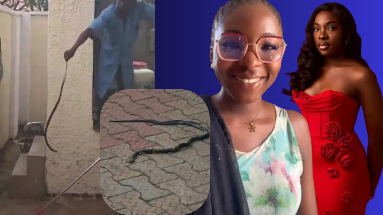 Young Nigerian Singer Ifunanya Nwangene Dies After Snake Bite in Abuja, Nation Mourns